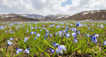 Nevruz ne zaman, hangi gün kutlanacak? 2022 Nevruz Bayramı tarihi