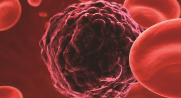 Nobel Ödüllü Aziz Sancar Müjdeyi Verdi: Kansere İlişkin Heyecan Verici Araştırmasını Türkiye'ye Taşıyacak!