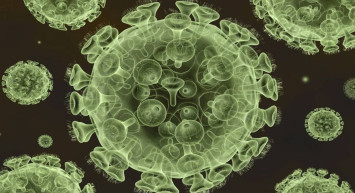 Ölümcül salgın giderek yayılıyor: Hayatını kaybedenlerin sayısı 178’e yükseldi