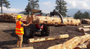 Orman Endüstrisi Mühendisliği DGS 2022 taban puanları ve bölüm kontenjanları