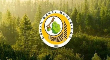 Orman Genel Müdürlüğü’nden müjde duyuruldu! 861 personel alımı için başvuru ekranı açıldı