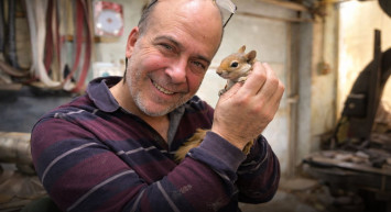 Ormanda bulduğu sincapın dostluğu görenleri hayrete düşürüyor