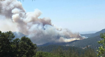 Ormanlara giriş yasak mı? Piknik yerlerine giriş yasak mı? Hafta sonu mangal yapmak yasak mı? Hangi şehirlerde ormanlık alanlara giriş yasak? Kent ormanlarına giriş yasak mı?