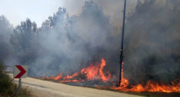 Ormanlarımız Yanıyor! Antalya'nın Ardından Mersin Kırıkkale ve Adana'da Orman Yangınları Çıktı!