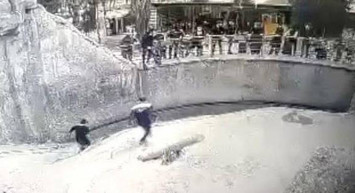 Özbekistan'da Korkunç Olay: 3 Yaşındaki Kızını Ayının Önüne Attı!