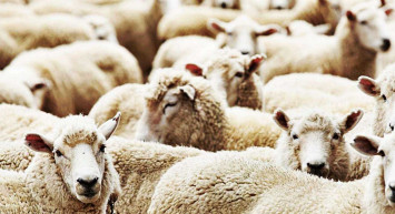 Özel sektörde bayram tatili kaç gün olacak? Resmi tatil ile idari tatil arasındaki fark ve özel sektör tatil süresi