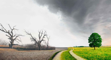 Para ağaları iklim krizi gerçeğini görmezden geliyor!