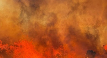 Paşalimanı Adası'nda Orman Yangınına Müdahale Ediliyor