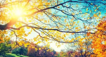 Pastrıma yazı ne zaman gerçekleşecek? 2022 pastırma yazı nedir, hangi zamanlarda görülür?