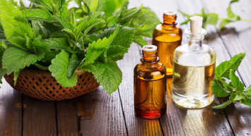 Pencerenin önünde kolayca yetiştiriliyor: Ayak bileği ağrısına son veriyor! İşte nane yağı faydaları