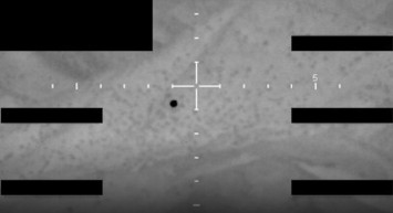 Pentagon UFO dosyalarını yayımladı: Gizli belgeler kamuoyuna açıldı
