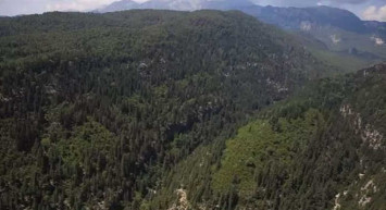 Peş peşe çıkan orman yangınlarından sonra Balıkesir'de orman alanlarına giriş ve çıkışlar Ağustos ayı sonuna kadar yasaklandı!