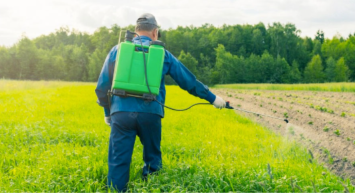 Pestisitlere maruz kalmayı azaltmanın 6 yolu