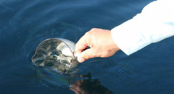 Petrolde bir müjde de Rize’den geldi: Osmanlı’dan beri varmış