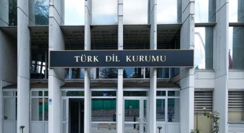 Pireyi Deve Yapmak Ne Demek, TDK Sözlük Anlamı Nedir?