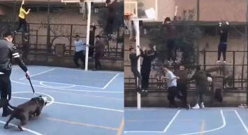 Pitbull'la şaka yapayım derken çocuklara dehşet dolu anlar yaşattı!