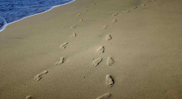 Plaj diyeti nasıl yapılır? Sahillerde fit görünmek için 5 hareket