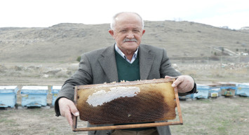Polen kıtlığı, arıcılarda endişe yaratıyor: Arı ölüm oranı yüzde 90!