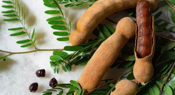 Ramazan ayında susuzluğunuzu gideren o eşsiz bitki!