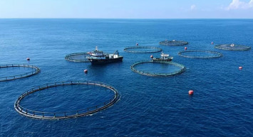 Resmi Gazete’de yayımlandı: Su kaynaklarını korumak için Ulusal Su Kanalı kuruldu