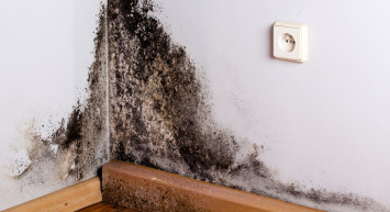 Rutubetli Odada Yatmanın Zararları 