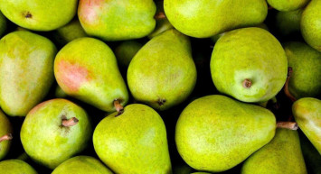 Rüyada armut ağacı görmek ne anlama gelir? Rüyada armut ağacı görmenin anlamları