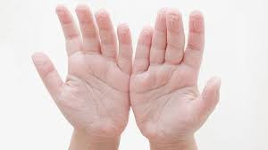 Rüyada avuç içi görmek ne anlama gelir? Rüyada avuç içi görmenin anlamı