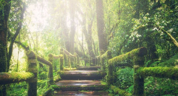 Rüyada aydınlık görmek anlamı nedir, neye yorumlanır? Aydınlık görme rüyasının tabiri, ne anlama geldiği