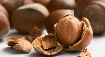 Rüyada fındık ağacı görmek ne anlama gelir? Rüyada fındık ağacı görmenin anlamı, tabiri