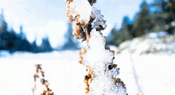 Rüyada Kar Görmek Ne Anlama Gelir?