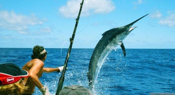 Rüyada kılıç balığı görmek neye işaret eder? Rüyada kılıç balığı görmenin anlamları ve yorumları