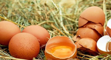 Rüyada yumurta görmek ne anlama geliyor? Rüyada yumurta görmenin psikolojik yorumu nedir? Nelere dikkat etmek gerekir?