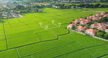 Sadece 3.000 TL’ye arsanız hazır olacak! Tapu almak hiç bu kadar basit olmamıştı