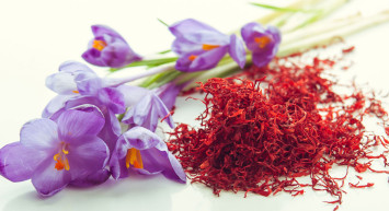 Safran Nedir, Faydaları Nelerdir?