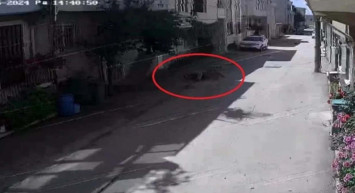 Sahipsiz köpeklerin saldırısı: Bursa'da 3 çocuktan 2'si yaralandı, o anlar güvenlik kamerasında!