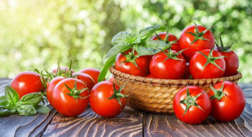 Sahurda tüketilmesi gereken mucizevi besin domates: İşte domatesin faydaları