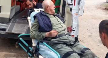 Sakarya'da başıboş köpek dehşeti! Yaşlı adam feci şekilde yaralandı