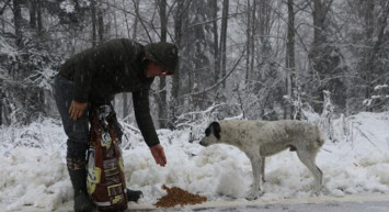 Sakarya'da Hayvanseverler Kar Yağışı Nedeniyle Yiyecek Bulamayan Sokak Hayvanlarını Unutmadı!