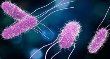 Salmonella, nasıl bulaşır, tedavisi nasıl yapılır? Salmonella ilgili bilmeniz gerekenler