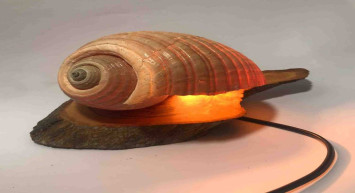 Salyangoz sabununun faydaları nelerdir? Salyangoz sabunu hangi ciltlerde kullanılır?