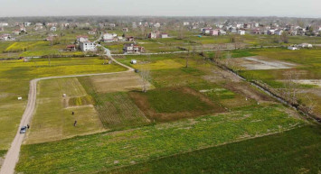 Samsun’da üretilen göl soğanlarından 1 tanesini izinsiz koparana: 112 bin TL ceza kesiliyor!