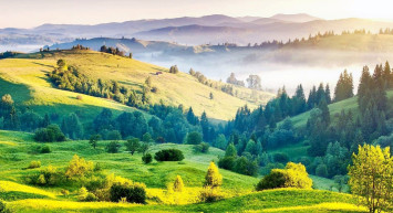 Samsun'da yeşil dönüşüm: Sıfır Atık Projesi ile 90 bin ağaç kesilmekten kurtarıldı!