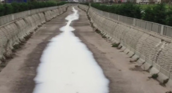 Sancaktepe'de Derenin Beyaz Renge Bürünmesi Paniğe Neden Oldu!