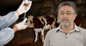 ŞAP AŞILAMASI YÜZDE 85’İ GEÇTİ: 6 İLDE DAHA HAYVAN PAZARLARI AÇILDI