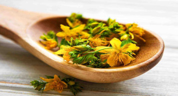 Sarı kantaron yağı nedir? Sarı kantaron yağı faydaları neler, hangi ilaçlar ile kullanılmaz? Sarı kantaron yağının bilinmeyen faydaları