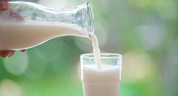 Sarımsak sütle içilir mi, sarımsaklı süt ne işe yarar, kaç gün içilmeli? Astıma karşı savaşan sarımsaklı sütün faydaları