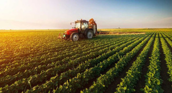 Sebze ve meyvede fahiş fiyat artışının nedenleri açıklandı: Yük çiftçilerde para aracıyla markette