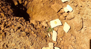 Selçuklular dönemine ait! Ender görülen altın sikke Özbekistan'da bulundu