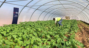 Sera desteği nasıl alınır? 2022 sera desteği belgeleri