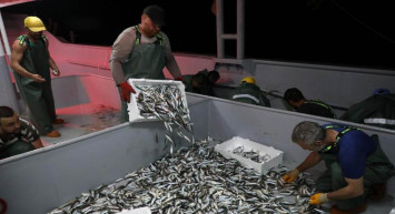 Sezon açıldı: Marmara Denizi’nde balık avlama denetimleri sıklaştı